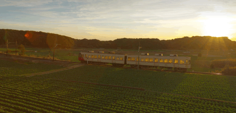 2026年1月20日～2月6日（現地・千葉県銚子市）「食材クエスト」モニターツアー